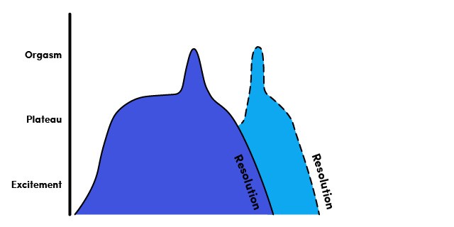 LH Pleasure Anatomy Guide_Testosterone Orgasm Pattern